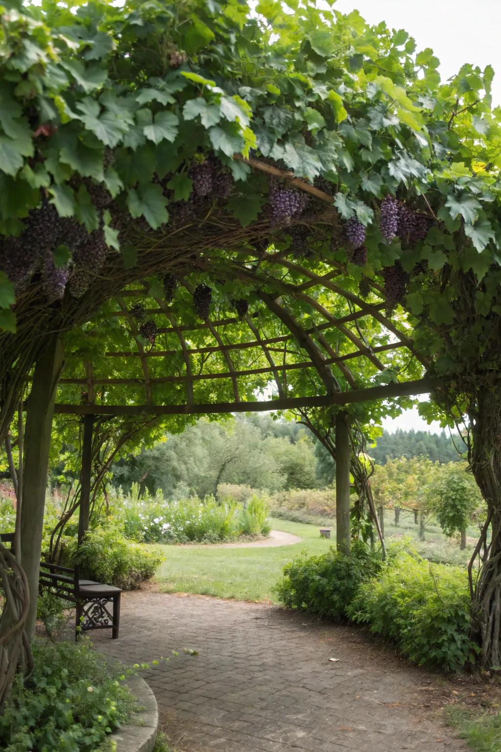 A circular support offers a serene, private garden retreat.