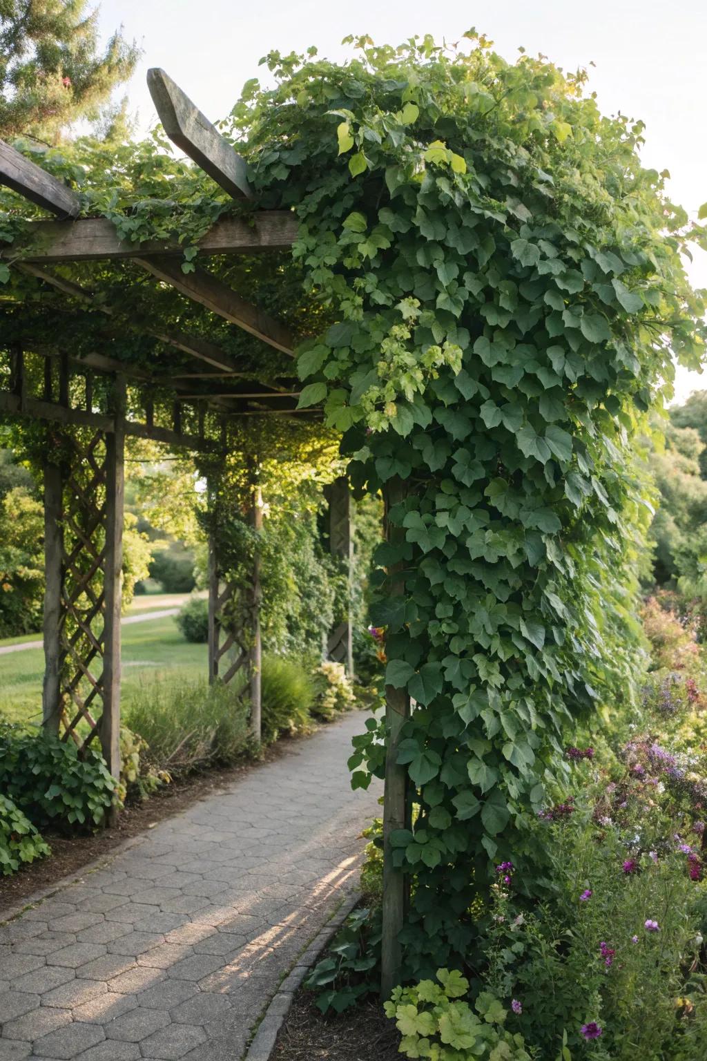 A greenery feature trellis provides seclusion and a vibrant green backdrop.