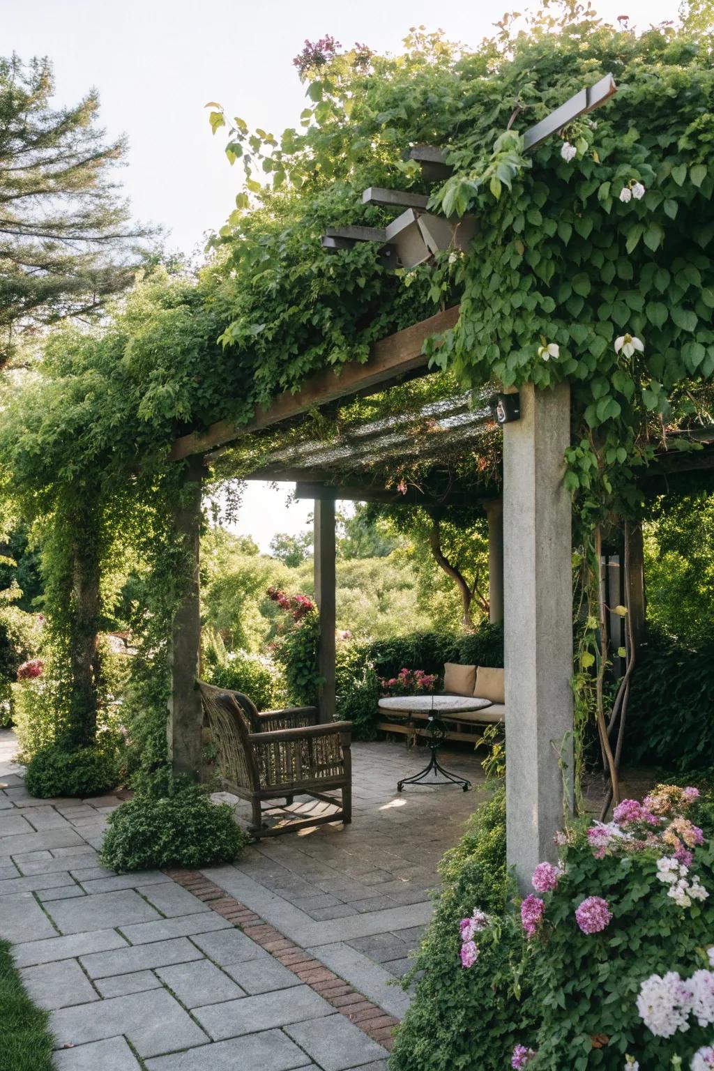 Pergolas offer both shade and a beautiful framework for climbing plants.