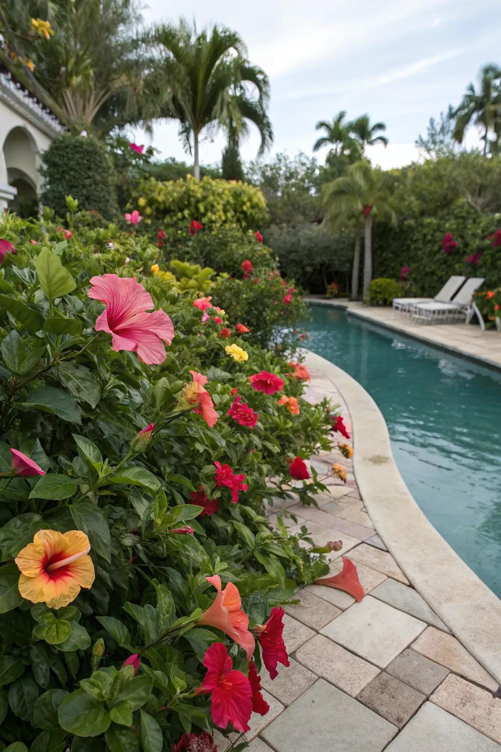 Brighten up your pool area with vibrant bloom edges.