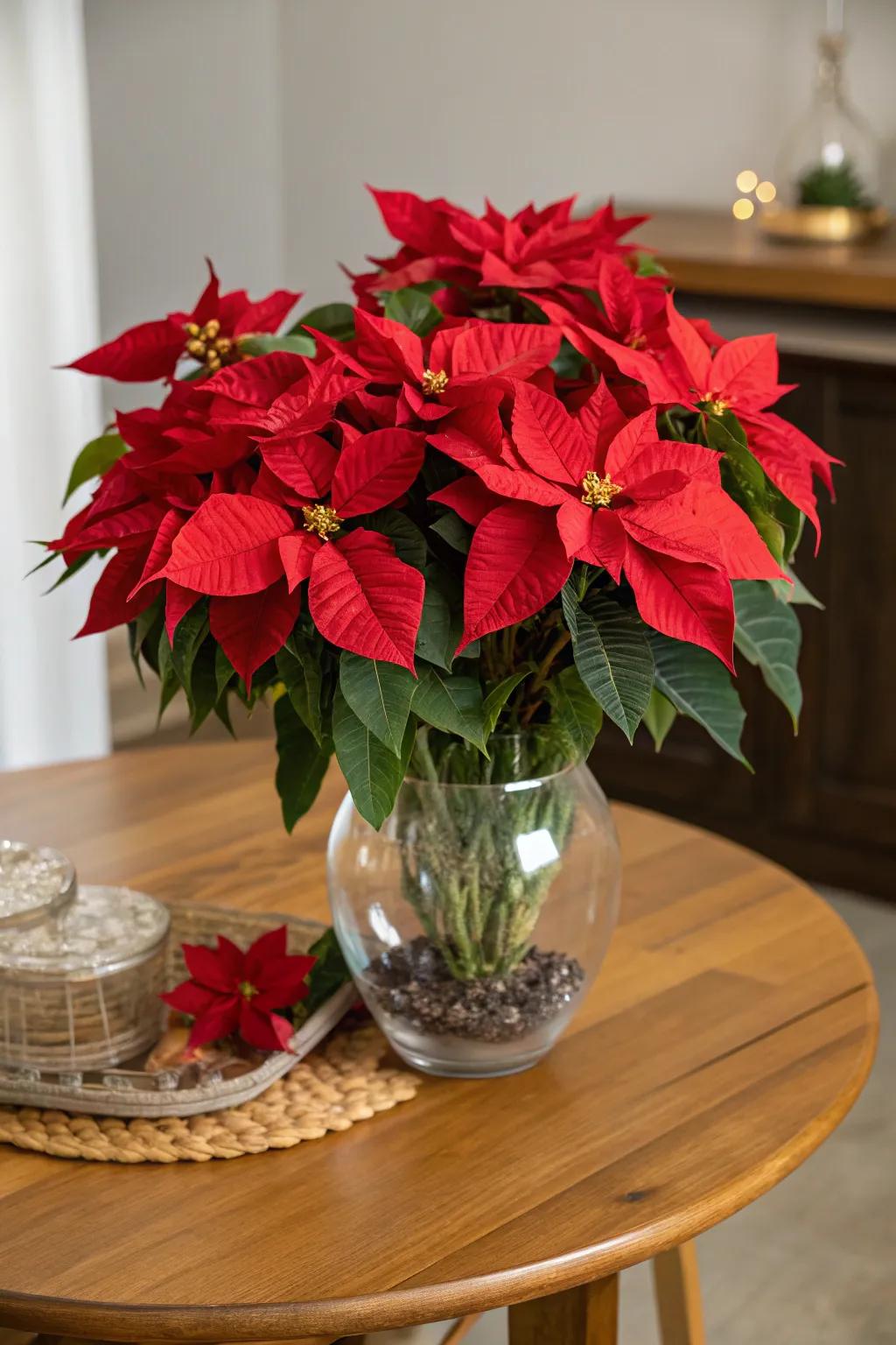 Elegant scarlet flower compositions regarding the holidays.