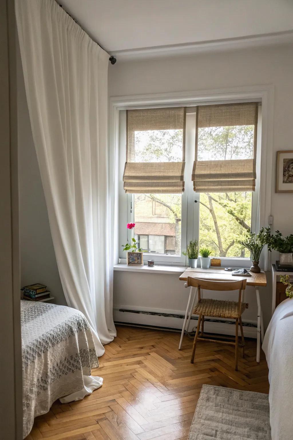 Dual-function blinds cater to the requirements of both illumination and seclusion.