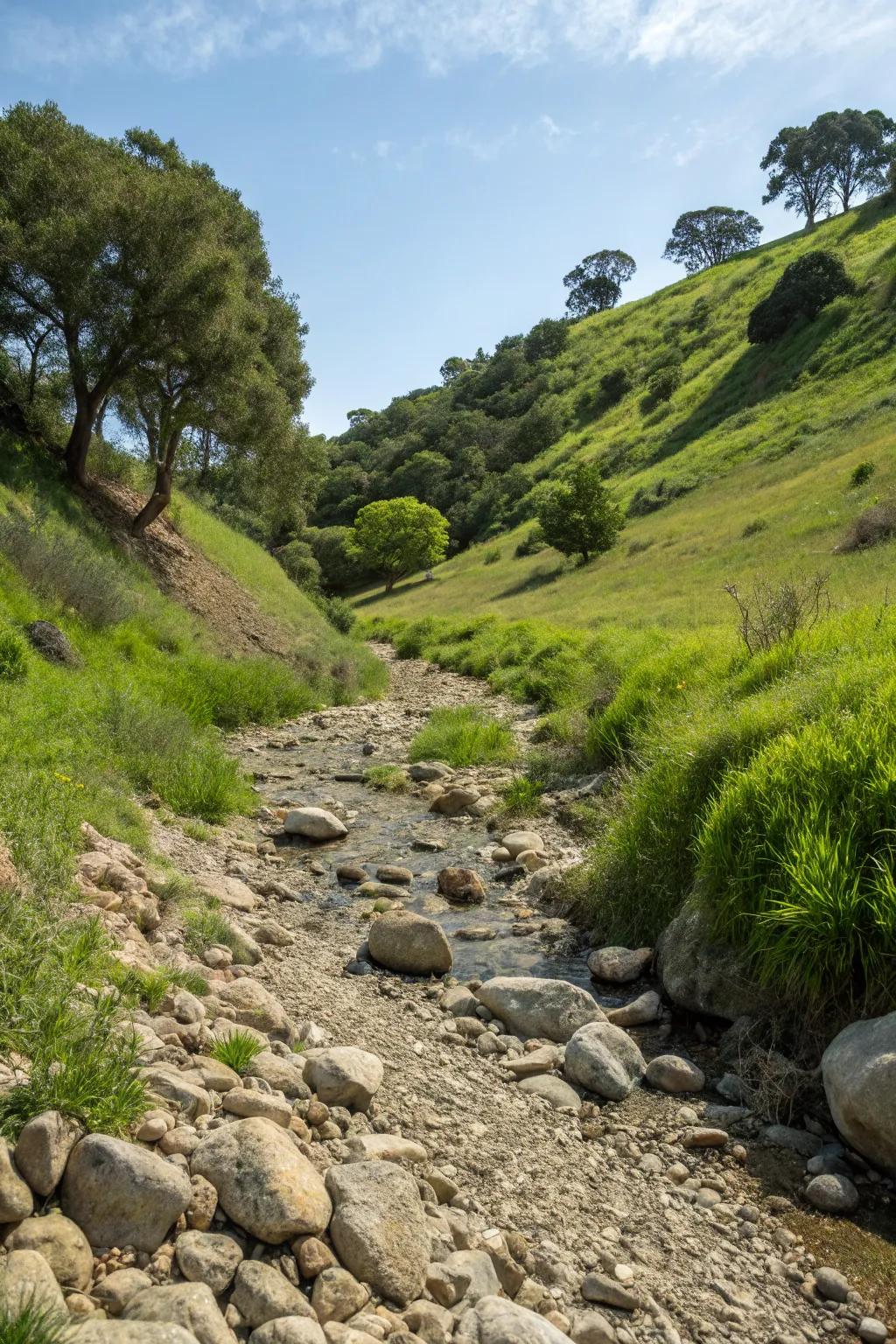 Dry stream beds merge practicality with natural charm.