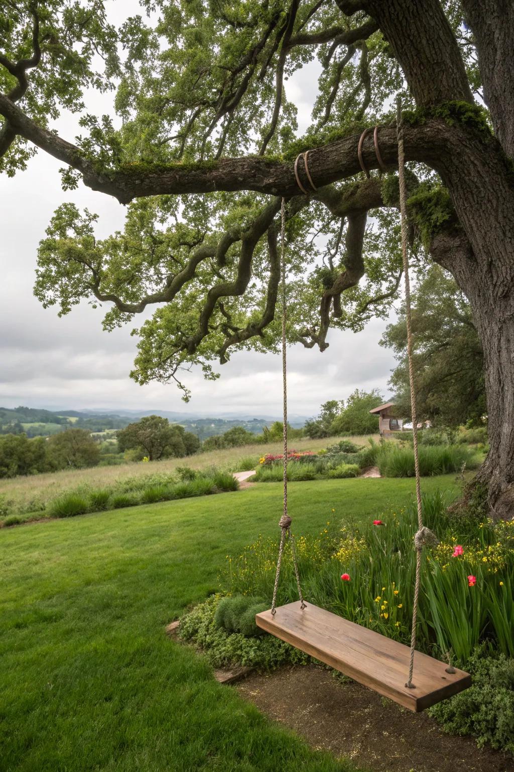 A tree swing becomes the heart of backyard adventures.